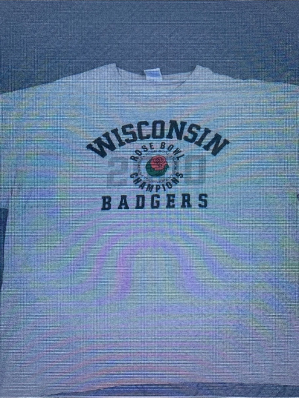Wisconsin Badgers Rose Bowl Champions Gray Crewneck T-Shirt